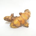 Fresh turmeric kunyit solated on white background