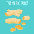Fresh turmeric root on white background