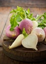 Fresh turnip and white radish
