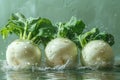 Fresh Turnips Being Washed Under Running Water