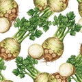 Fresh Turnips with Green Leaves Pattern Royalty Free Stock Photo