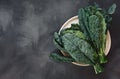 Fresh  Tuscan kale leaves on a white plate Royalty Free Stock Photo