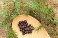 Fresh twigs of Juniper and the Berries Royalty Free Stock Photo