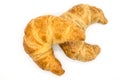Fresh two croissant isolated on a white background closeup Royalty Free Stock Photo