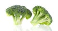 Fresh two green tasty broccoli in closeup isolated on white background Royalty Free Stock Photo