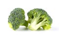 Fresh two green tasty broccoli in closeup isolated on white background Royalty Free Stock Photo