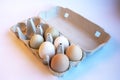 Fresh two light brown, two white and two light green eggs in a paper box and four empty spaces for healthy food. Egg Royalty Free Stock Photo