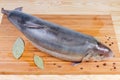 Fresh uncooked arctic char on wooden cutting board with spices Royalty Free Stock Photo