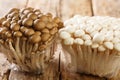 Fresh uncooked buna brown and bunapi white shimeji edible mushrooms from Asia in plastic container closeup. Horizontal Royalty Free Stock Photo