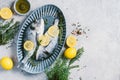 Fresh uncooked dorado or sea bream fish with lemon, herbs, oil, vegetables and spices on concrete background. Top view Royalty Free Stock Photo