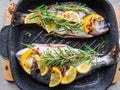Fresh uncooked dorado or sea bream fish with lemon slices, spices, herbs and rosemary on the dark frying pan Royalty Free Stock Photo
