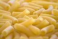 Fresh uncooked raw italian pasta