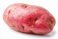 Fresh Uncooked Red Potato on White Background for Advertisements, Packaging, and Labelling