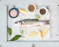 Fresh uncooked seabass fish with lemon, herbs, ice and spices on rustic blue wooden board backdrop, horizontal