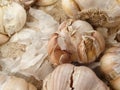 Fresh and unfresh Garlic on market Royalty Free Stock Photo