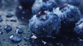Fresh Unic Blueberries with Droplets Royalty Free Stock Photo