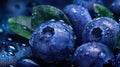 Fresh Unic Blueberries Royalty Free Stock Photo