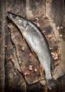 Fresh unprepared pike on a cutting board.