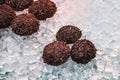 Fresh urchins on a white tray with ice on seafood in Kuromon Ichiba Market, Select focus.