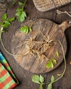 Fresh valerian roots and leaves on a table