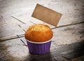 Fresh vanilla muffin Royalty Free Stock Photo