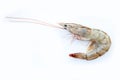 Fresh vannamei shrimp prawns seafood on white background Royalty Free Stock Photo