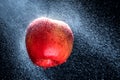 Fresh Variegated apple gets sprayed with water on black background. Concept of summer, health and fun