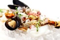Fresh various seafood served on ice Royalty Free Stock Photo