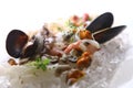 Fresh various seafood served on ice Royalty Free Stock Photo
