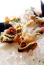 Fresh various seafood served on ice Royalty Free Stock Photo
