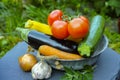 Fresh various vegetables for garnish, soups, gastronomic dishes Royalty Free Stock Photo