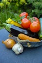 Fresh various vegetables for garnish, soups, gastronomic dishes Royalty Free Stock Photo