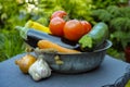 Fresh various vegetables for garnish, soups, gastronomic dishes Royalty Free Stock Photo