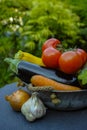 Fresh various vegetables for garnish, soups, gastronomic dishes Royalty Free Stock Photo