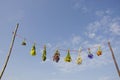 Fresh variuos summer medical herbs bunches on string Royalty Free Stock Photo