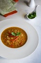 Fresh vegan lentil soup served in white plate Royalty Free Stock Photo