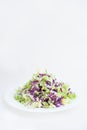 Fresh vegan salad of red and green cabbage on a white background Royalty Free Stock Photo