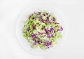 Fresh vegan salad of red and green cabbage on a white background Royalty Free Stock Photo