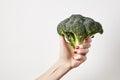 Fresh vegetable broccoli in woman hand, fingers with red nails manicure, isolated on white background, healthy lifestyle concept.