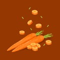 Fresh vegetable Carrot falling vector in brown background