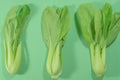 Fresh vegetable, Chinese cabbage Royalty Free Stock Photo