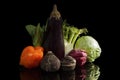 Fresh vegetable. Royalty Free Stock Photo