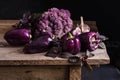 Dark purple peppers, cauliflower with leaves of basil and garlic Royalty Free Stock Photo