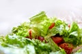 Fresh Vegetable Dish. Ingredients: slices of red tomato and green salad leaves sprinkled with olive oil. Healthy food Royalty Free Stock Photo