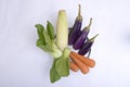 Fresh vegetable of eggplant, carrot, mustard pakcoy, and raw corn in the glass bowl