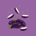 Fresh vegetable Eggplant falling vector in violet background Royalty Free Stock Photo