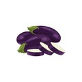 Fresh vegetable Eggplant isolated vector in white background Royalty Free Stock Photo