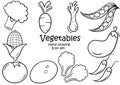 Fresh vegetable hand drawn illustration set Royalty Free Stock Photo