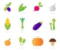 Fresh vegetable icons collection isolated on white