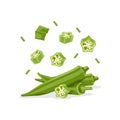 Fresh vegetable Ladies finger or Okra falling vector in white background Royalty Free Stock Photo